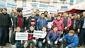 Tütün üreticileri eylem yaptı