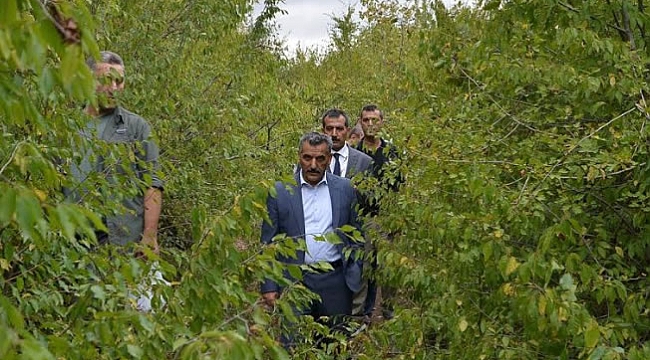 Vali Kaymak Şehir Hastanesi arazisinde