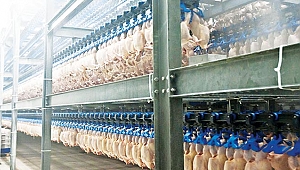 YEMSEL TAVUKÇULUK’UN İFLAS ERTELEME DAVASI BUGÜN. ÜRETİCİLER, SIKINTILARI HAKİME ANLATACAK