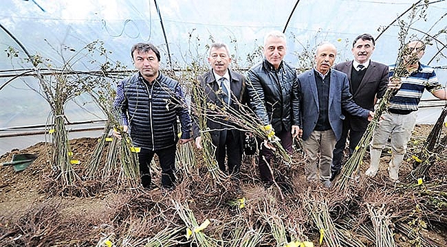 4 ilçede tarıma destek 800 bin TL’yi buldu