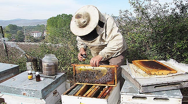 Arıcılara kış uyarısı