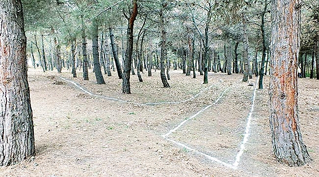 Canik Belediyesi’nden ormanın kalbine beton