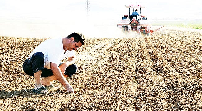 Çiftçi dört gözle bekliyor!