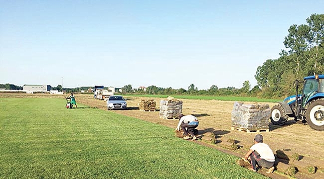 Genç girişimci çim ihraç ediyor