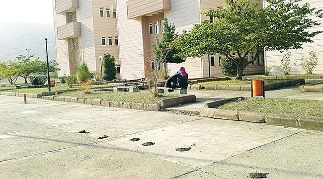 Kampüsü meraya çevirdiler