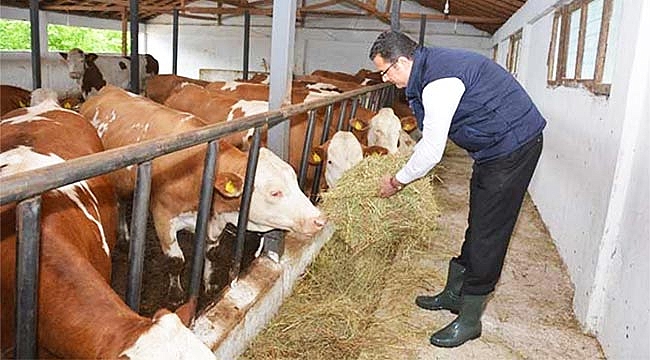 Üretici ucuz et formülünü açıkladı