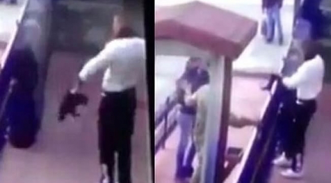 Kediye işkence AYM'ye gidiyor