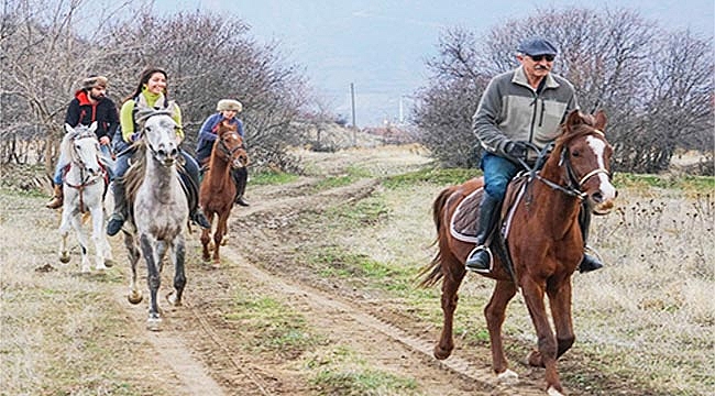 Tokat’ta atlı safari