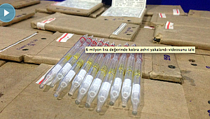 6 milyon lira değerinde kobra zehri yakalandı