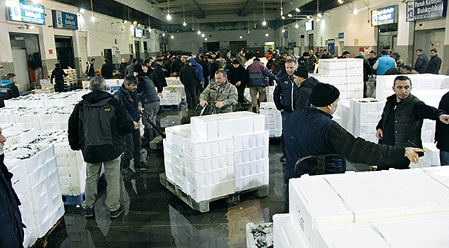 BALIKLAR SAMSUN’DAN