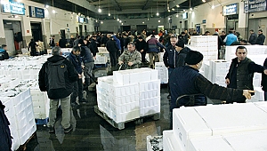 BALIKLAR SAMSUN’DAN