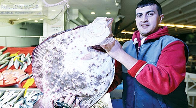 Bir adet kalkan 875 lira