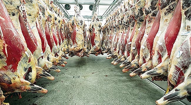 Çarşamba’ya yeni mezbahane