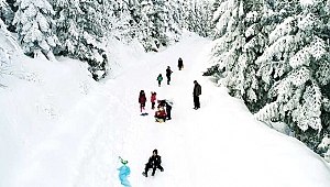 Doğa harikası yaylada piknik ve kayak keyfi