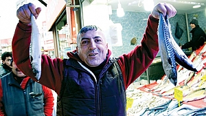 Fırtına var, hamsi yok