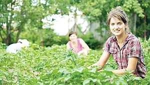 Gençlere hibe ve kredi