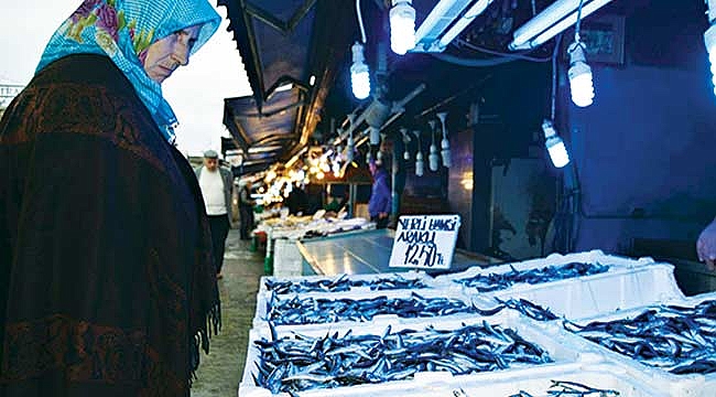 Hamsinin yolu gözleniyor!