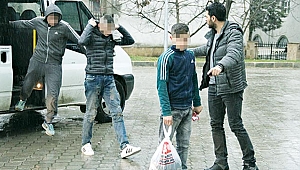 İş yerlerinden kuş hırsızlığına 3 gözaltı