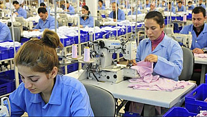 İŞKUR tarihinde tüm zamanların rekorunu kırdı