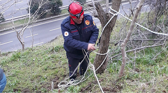İtfaiyeden keçi kurtarma operasyonu