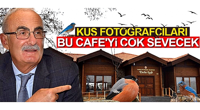 Kuş fotoğrafçıları bu Cafe'yi çok sevecek