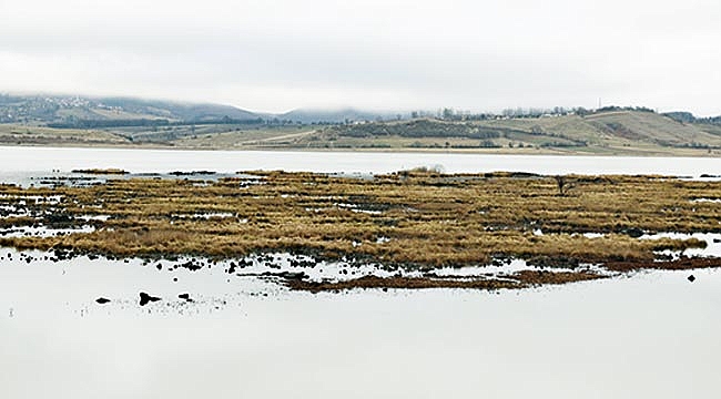 Neredeyse gölet oldu!