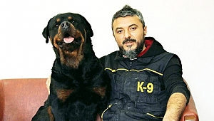 Sadık dostlar itaati okulda öğreniyor