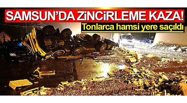 Samsun:'da tonlarca hamsi yere saçıldı