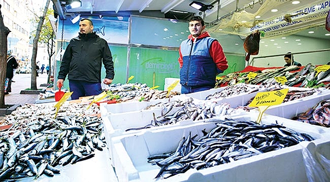 Tezgahlarda balık fiyatları düşmüyor