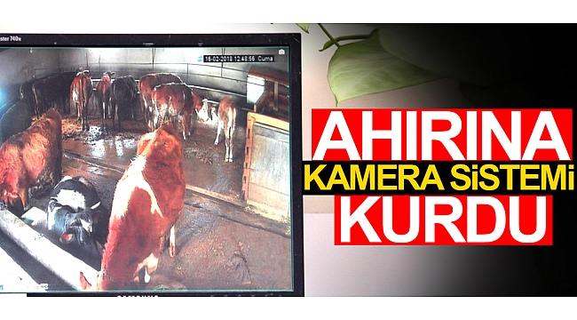 Ahırına kamera sistemi kurdu