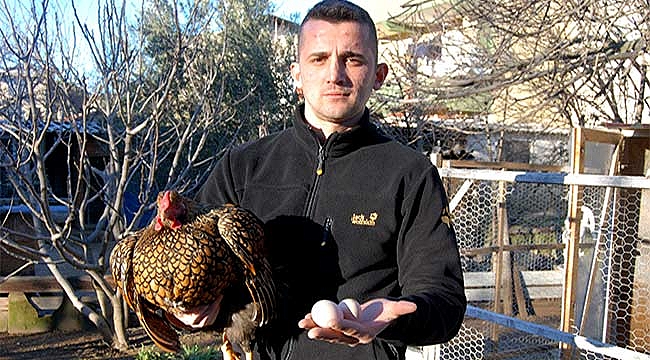 Bu tavukların tanesi 2 bin, yumurtası 40 lira