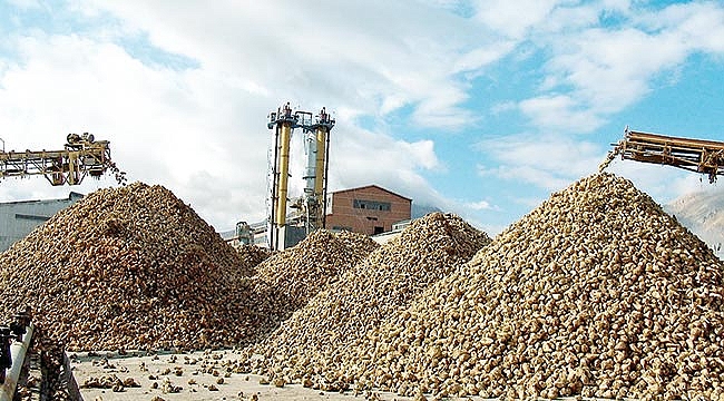 Çayı üzümle içeceğiz!