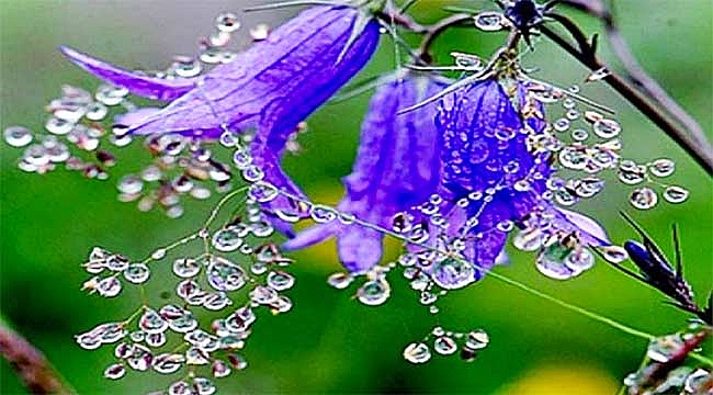 Cemre ne zaman düşecek? Cemre düşme tarihleri