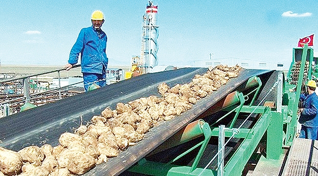 Haklar güvence altında