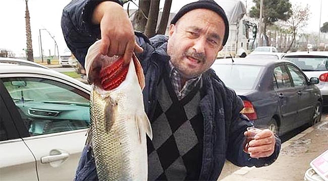 Hamsiye niyet, levreğe kısmet