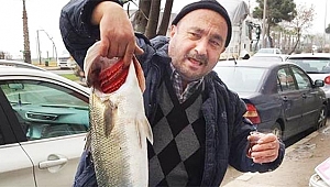 Hamsiye niyet, levreğe kısmet