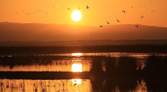 KIZILIRMAK DELTASI İÇİN UNESCO DÜNYA MİRASI LİSTESİ'NE BAŞVURU