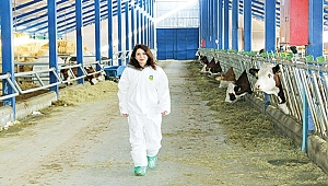 Mühendisliği bıraktı, süt çiftliği kurdu