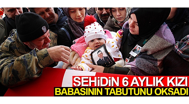 Şehidin 6 aylık kızı babasının tabutunu okşadı