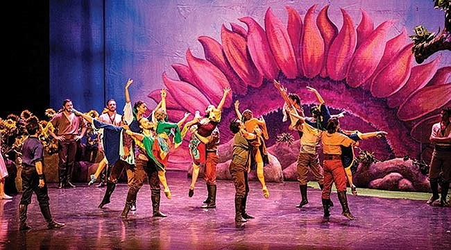 Arda Boyları beğeni topladı