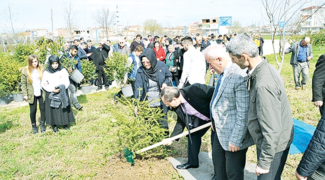 Bafra’da 74 şehit için 74 fidan dikildi 