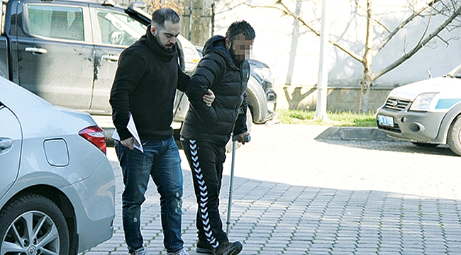 Evinde bonzai bulunan şahıs tutuklandı