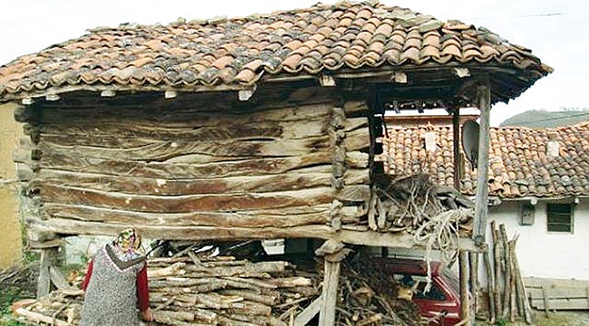 Kadınsız bir danaya bile bakamıyoruz!