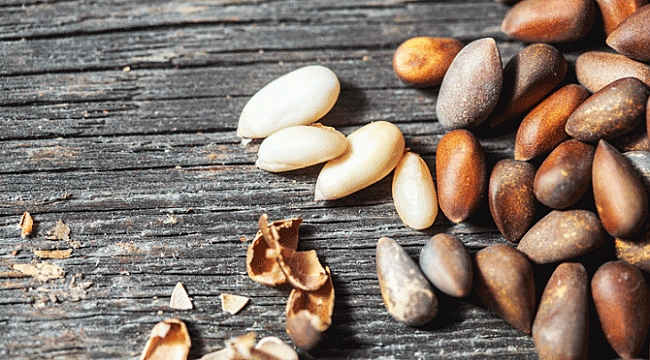 Kilosu çeyrek altından fazla