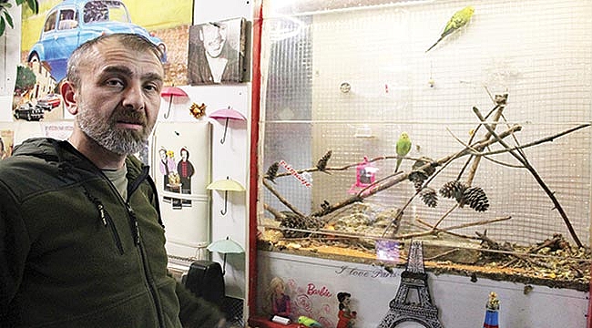 Kuşları için ofisinde doğal kafes yaptı