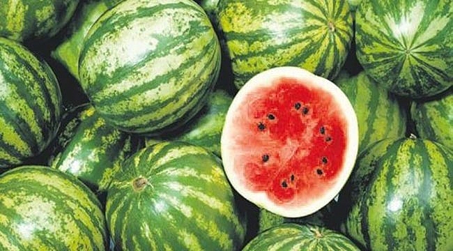 Yarım karpuz dönemi