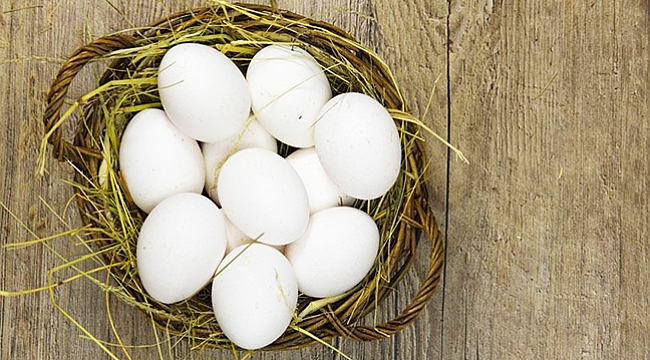 'Yumurta, anne sütünden sonra en önemli protein'