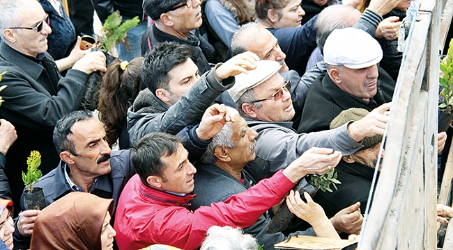 5 BİN FİDAN 20 DAKİKADA TÜKENDİ 