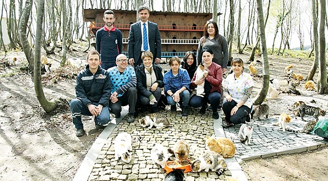 500 sokak kedisine bakılıyor