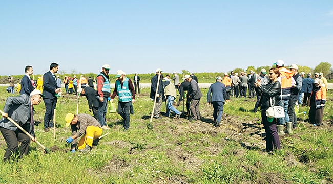 Bafra’da Adalet Ormanı oluşturuldu 